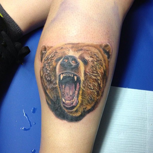 Angry brown bear tattoo on leg