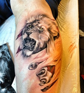 Awesome example of lion tattoo on leg