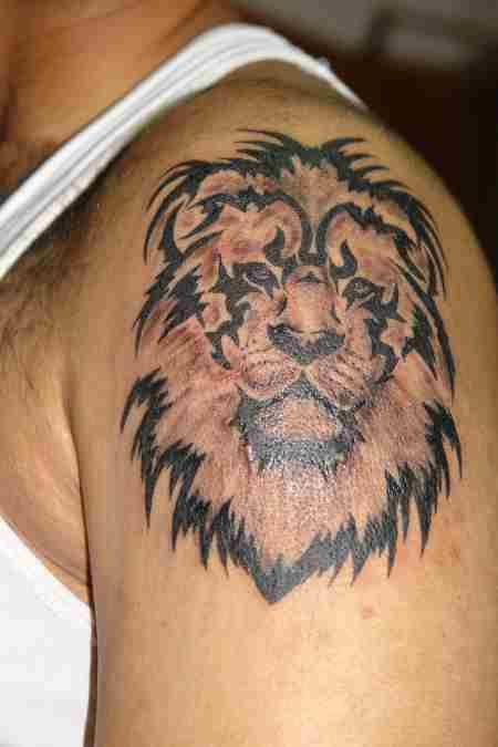 Black and brown tiger tattoo on arm