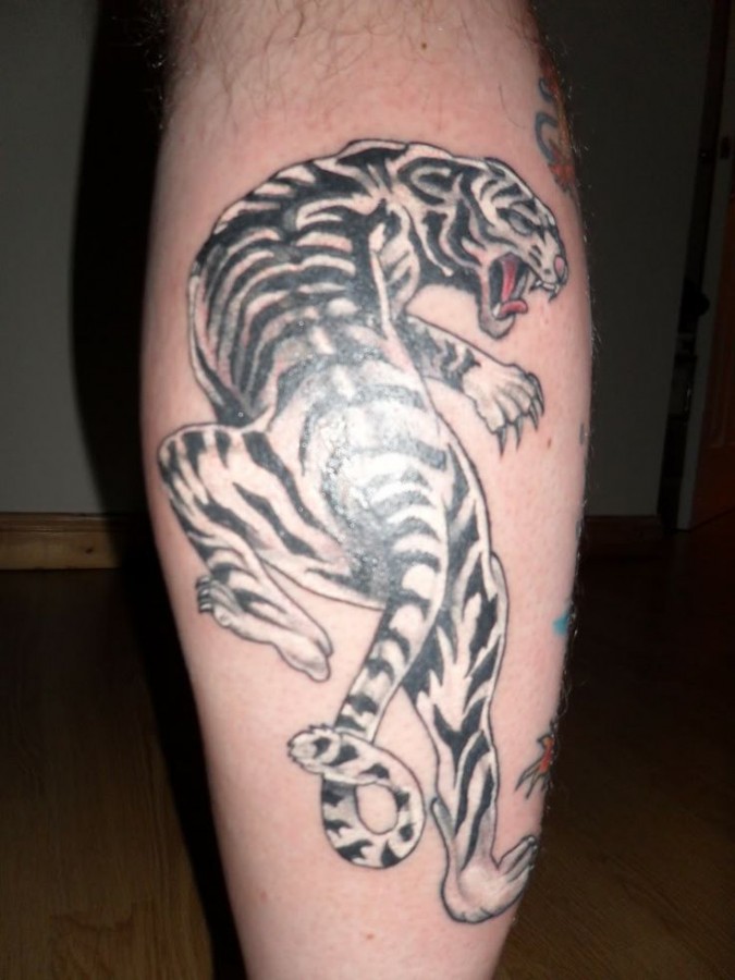 Black and white tiger tattoo on leg