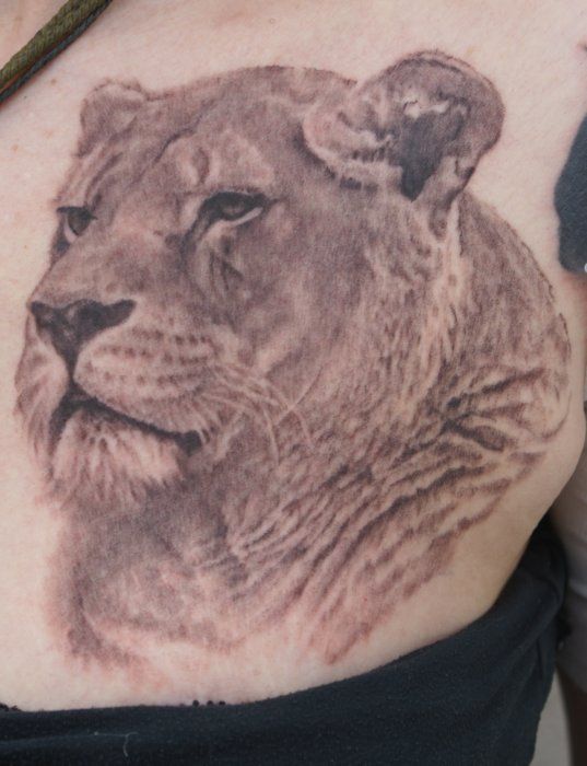 Black lovely lion tattoo on leg