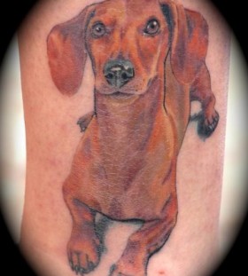 Brown long dog tattoo on leg