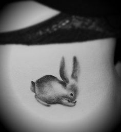 Cute and shye rabbit tattoo on body