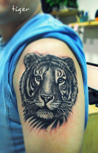 Cute small tiger tattoo on arm