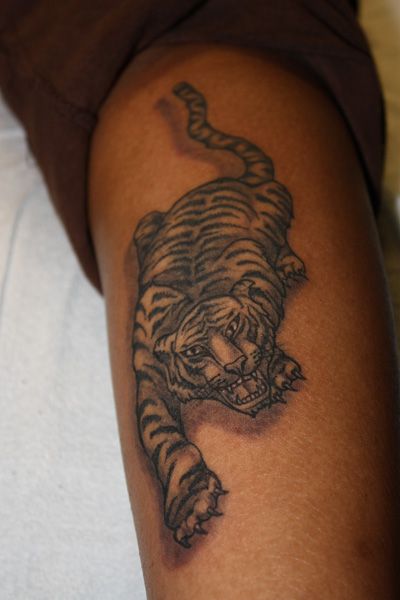 Example of angry tiger tattoo on arm