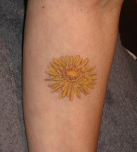 Family crest sun tattoo on arm