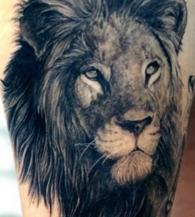 Lovely black lion tattoo on leg