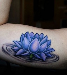 Lovely realistic blue flowers tattoos