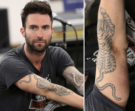 Men and his tiger tattoo on arm