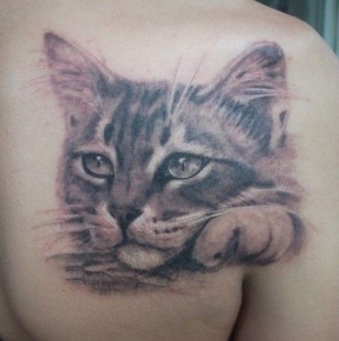 Pretty black cat tattoo on arm