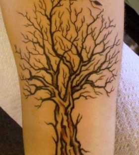 Pretty black tree tattoo on arm