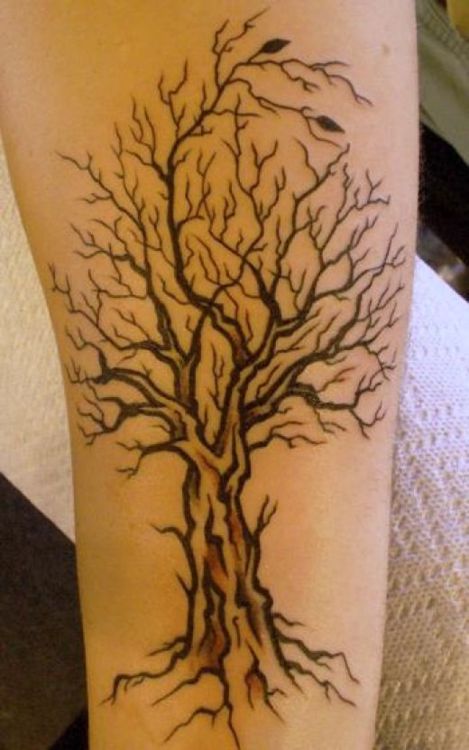 Pretty black tree tattoo on arm