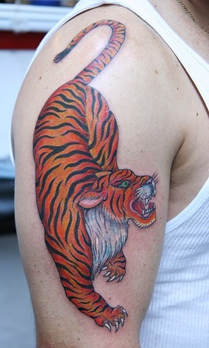 Realistic colors tiger tattoo on arm