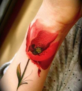 Red lovely poppy tattoo on arm