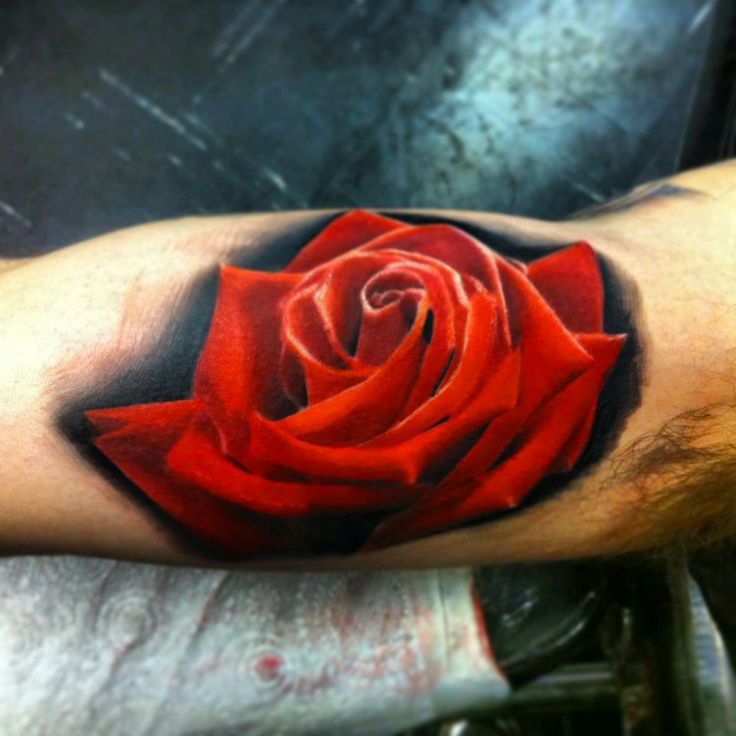 Red realistic rose tattoo on arm