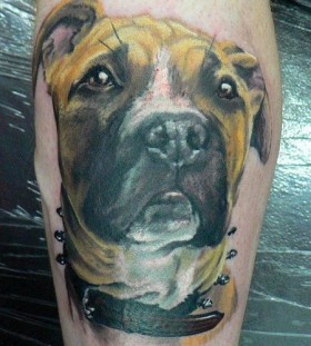 Sad lovely dog tattoo on leg