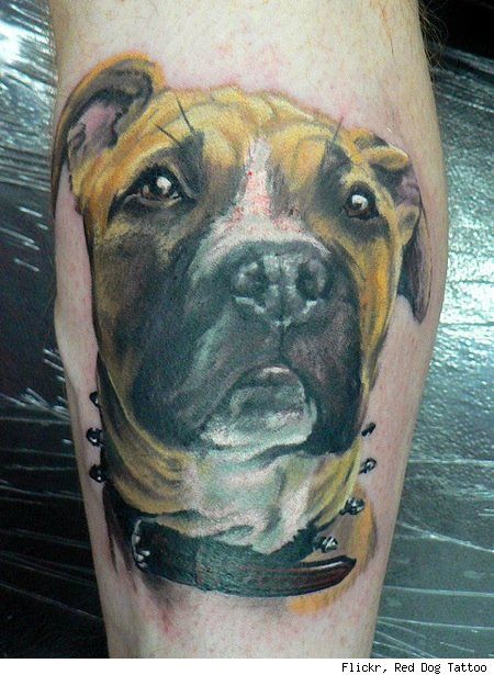 Sad lovely dog tattoo on leg