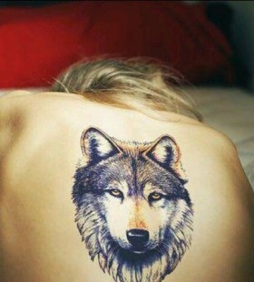 Women back wolf tattoo