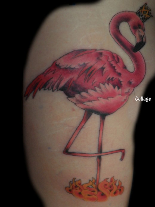 King Flamengo BIrd Tattoo Designs