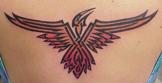 Celtic Fire Bird Tattoo Design