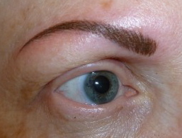 3D Embroidery Permanent Makeup Eyebrows Alopecia