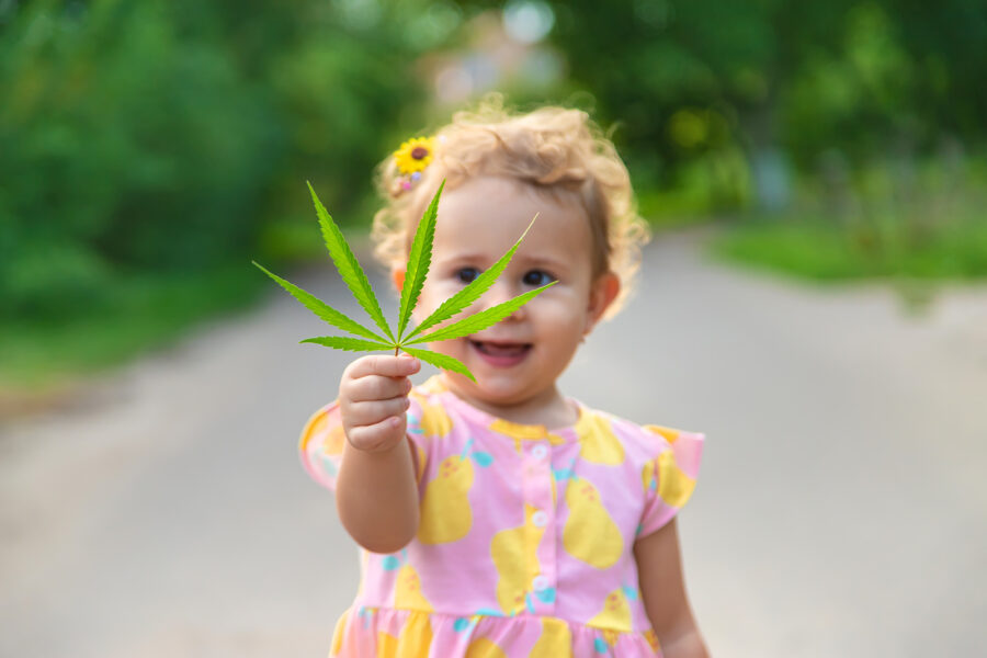 A child with a cannabis leaf in his hands. Selective focus.