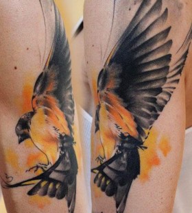 Amazing bird tattoo by Florian Karg