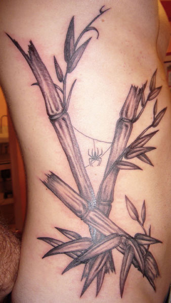 Bamboo and spider side tattoo