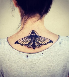 Beautiful moth back tattoo