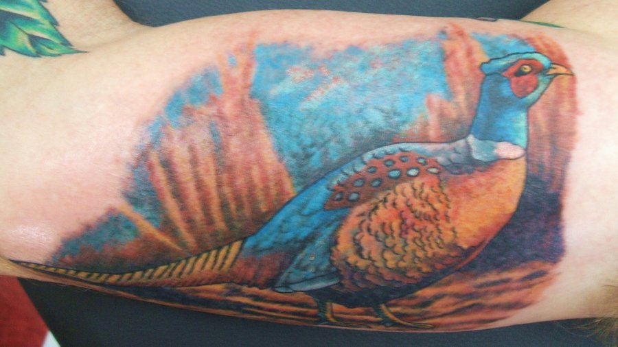 Blue pheasant arm tattoo