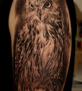 Brilliant owl tattoo by Dmitriy Samohin