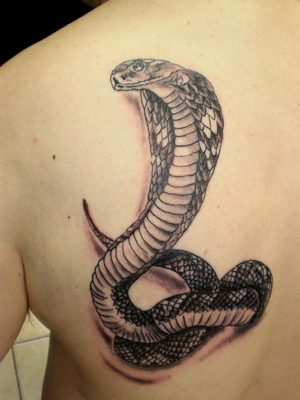 Calm cobra back tattoo