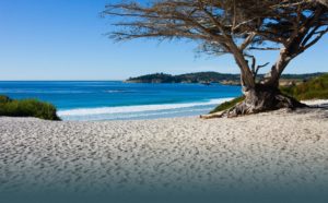 Carmel Beach in Carmel by the Sea