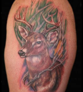 Coloured deer tattoo