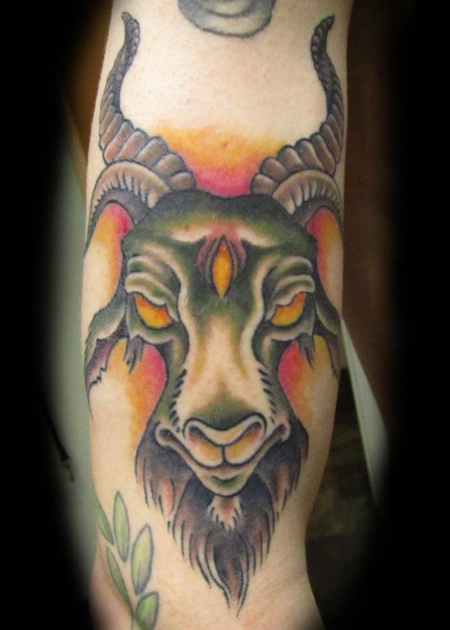 Coloured goat arm tattoo