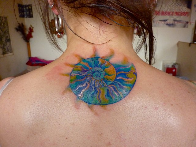 Colourful shell back tattoo