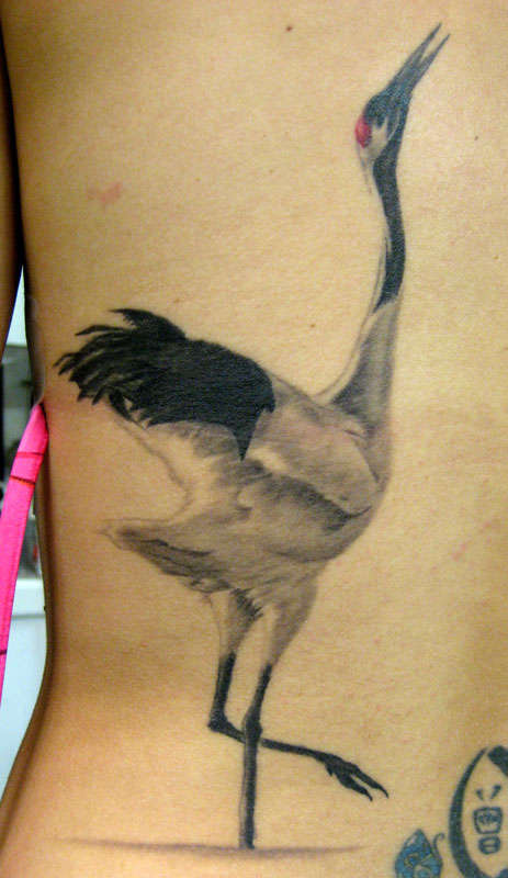 Cool crane back tattoo