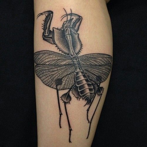 Creepy insect tattoo