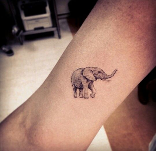 Elephant tattoo by Dr Woo