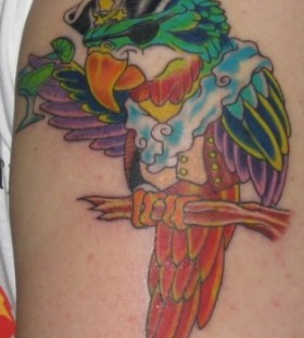 Funny pirate parrot tattoo