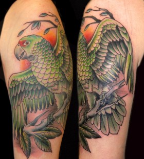 Green parrot arm tattoo