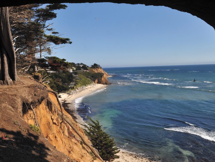 James V. Fitzgerald Marine Reserve in Moss Beach