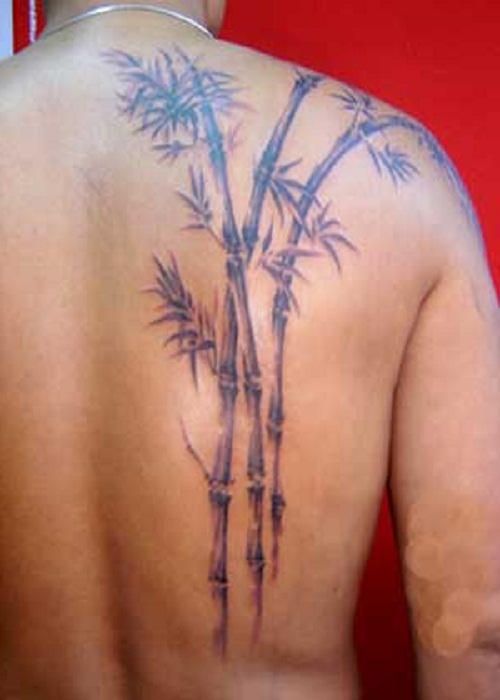 Nice bamboo tree back tattoo