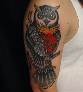 Nice owl arm tattoo