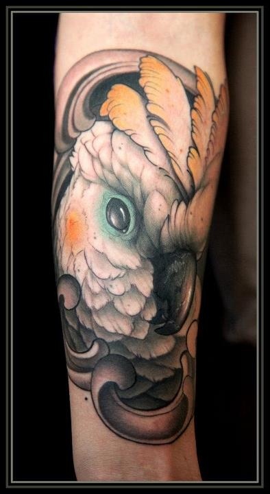 Nice parrot arm tattoo