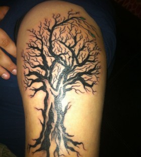 Oak tree arm tattoo