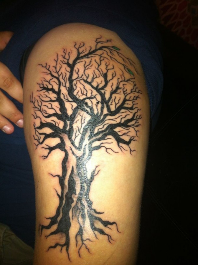 Oak tree arm tattoo