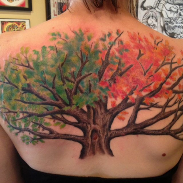 Oak tree back tattoo