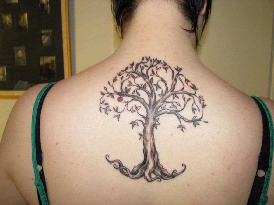 Old apple tree back tattoo