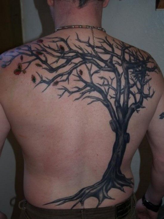 Old oak back tattoo